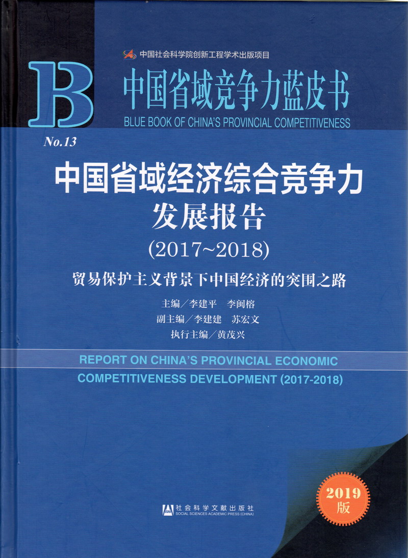 啊～用cao嗯力cao烂我视频中国省域经济综合竞争力发展报告（2017-2018）